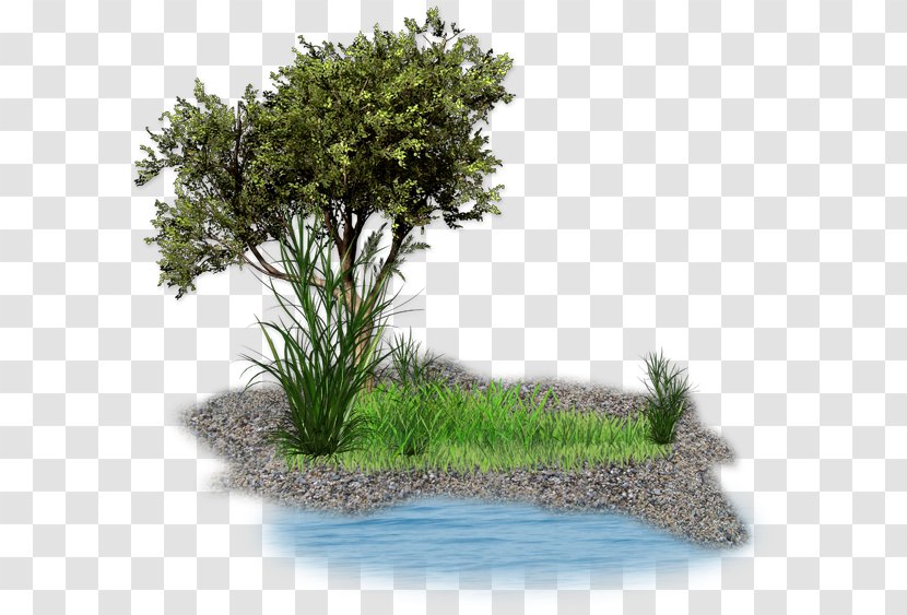 Tree - Technology - Landscape Transparent PNG