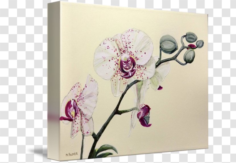 Floral Design Cut Flowers Greeting & Note Cards - Flowering Plant - Flower Transparent PNG