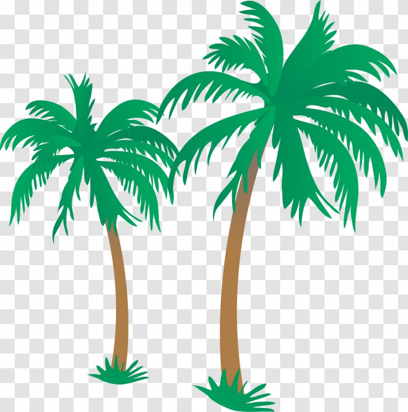 Beach Arecaceae Illustration - Woody Plant - Cartoon Areca Tree Transparent PNG