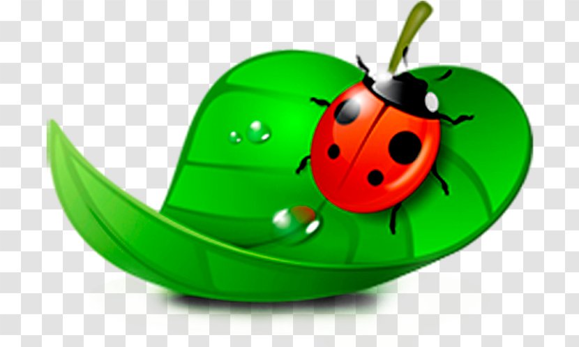 Ladybird Drawing Blog Clip Art - Product Design - Ladybug Transparent PNG