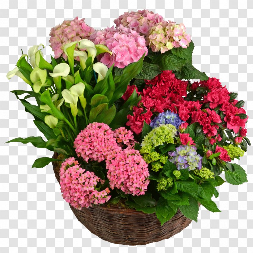 Hydrangea Floral Design Cut Flowers Floristry - Cornales - Flower Transparent PNG