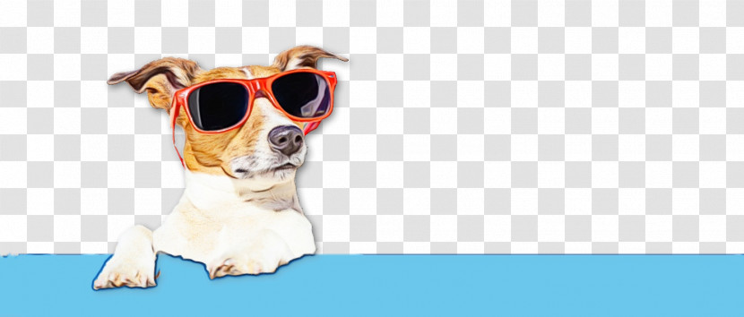 Dog Puppy Leash Snout Goggles Transparent PNG
