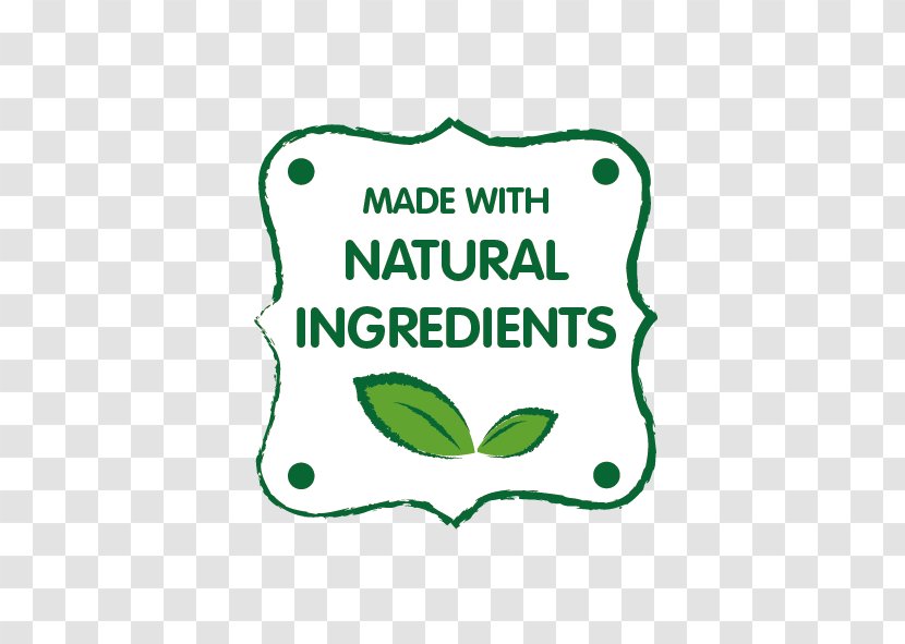 Food Milk Nutrition Cracker Salt - Plant - Natural Ingredients Transparent PNG