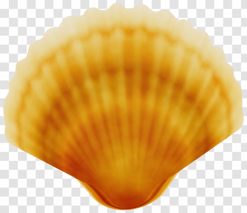 Cockle Shell Bivalve Scallop Clam - Paint - Food Seafood Transparent PNG