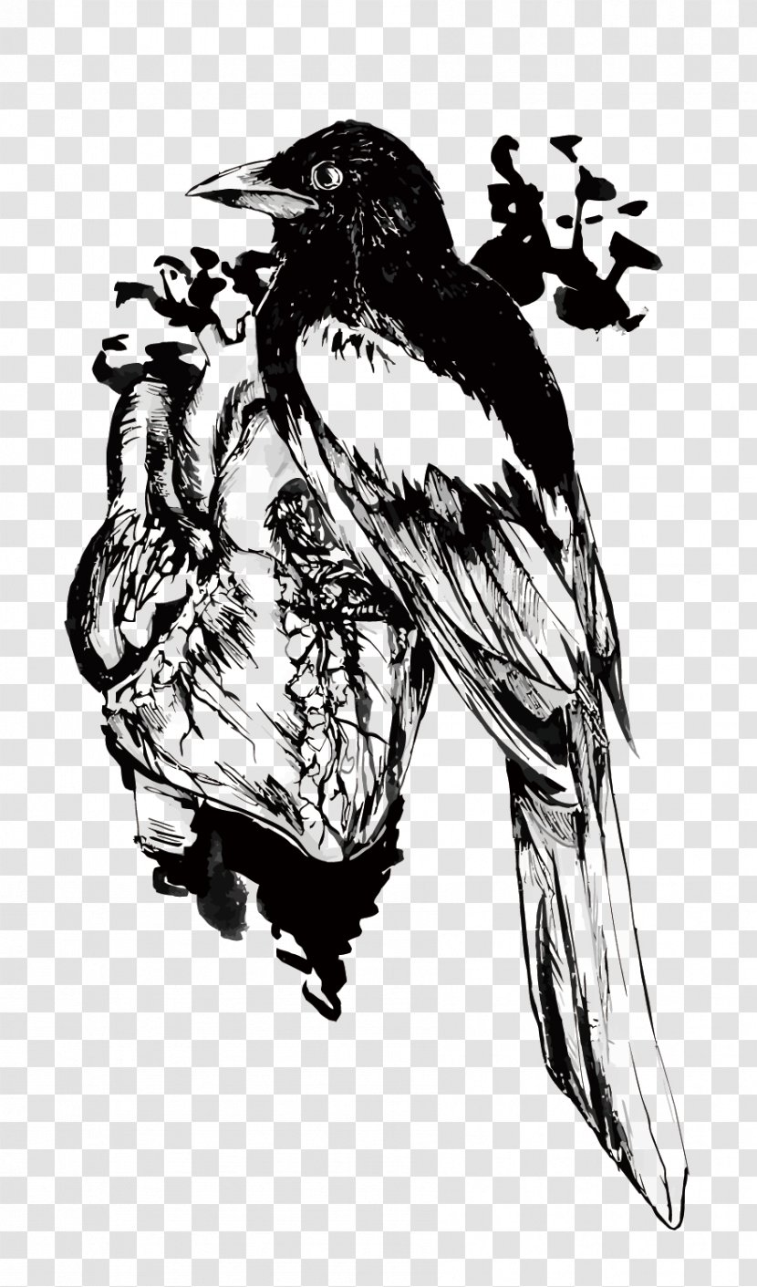 Vector Raven - Bird Of Prey - Beak Transparent PNG