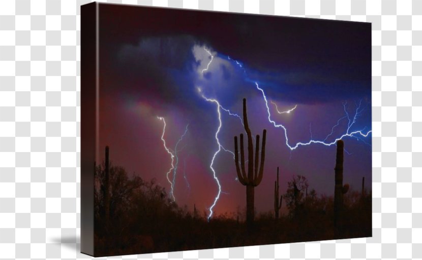 Gallery Wrap Lightning Canvas Art Thunder - Storm Transparent PNG