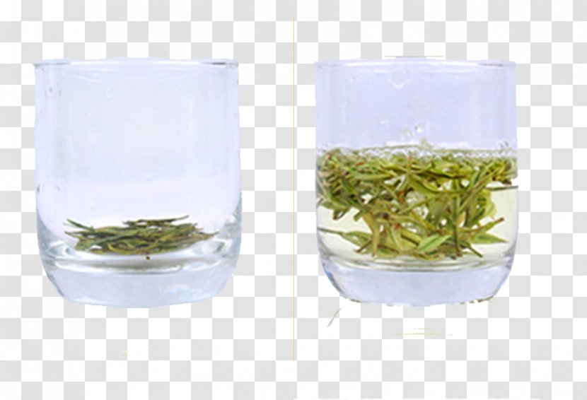 Green Tea Longjing Cup - 2 Cups Of Transparent PNG