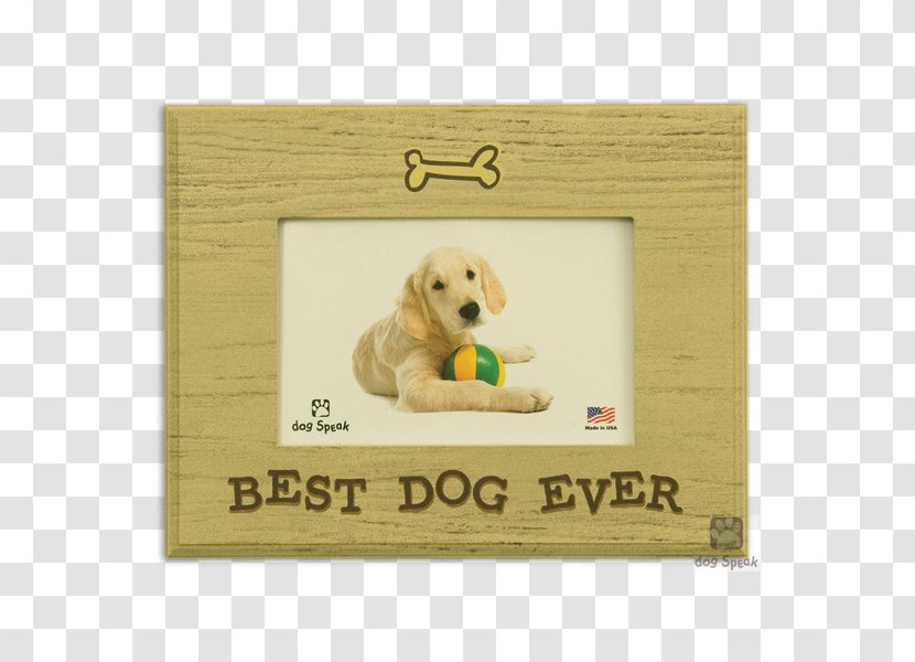 Jack Russell Terrier Puppy Picture Frames Pet Cat - Tag Transparent PNG