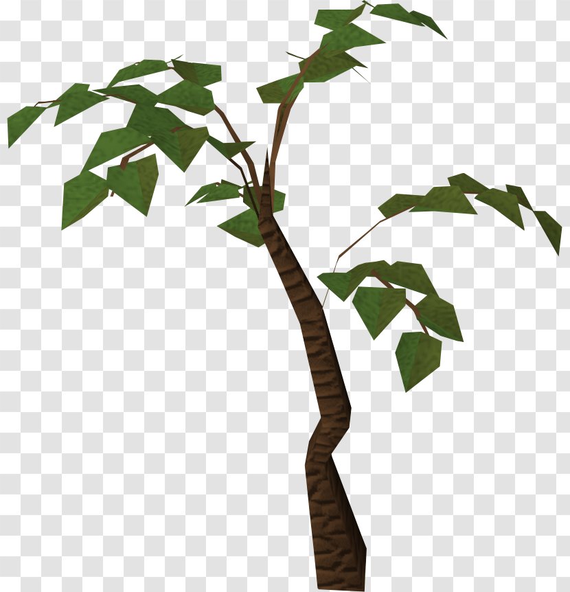 Tree Jungle Clip Art - Plant - HD Transparent PNG