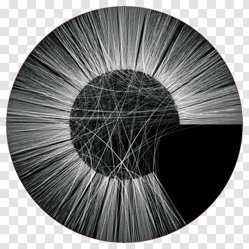 Product Design Black M - And White - Cytoscape Transparent PNG
