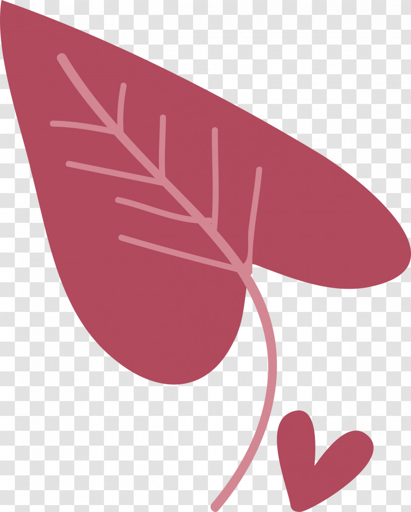 Circle Leaf Angle Pink M Meter Transparent PNG