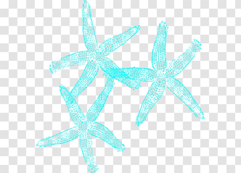 Starfish Turquoise Coral Clip Art - Aqua Transparent PNG