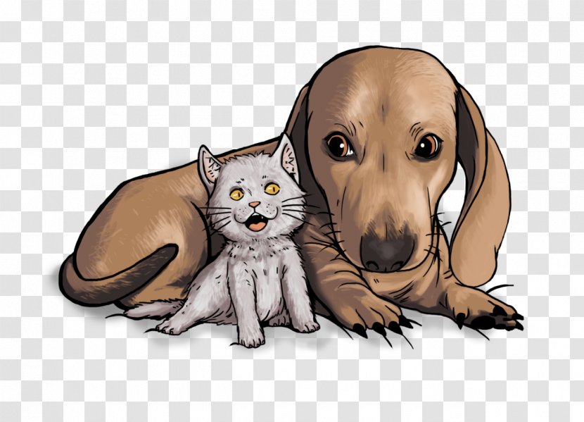 Cat Dog Puppy Whiskers Canidae - Like Mammal - And Transparent PNG