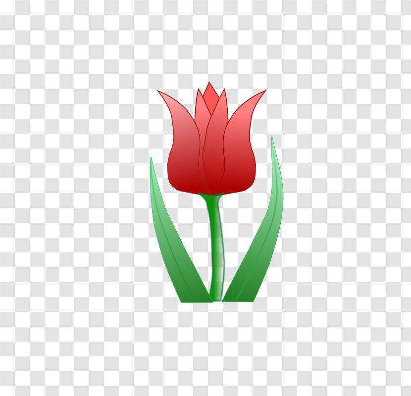 Flower Tulip Clip Art - Public Domain Transparent PNG