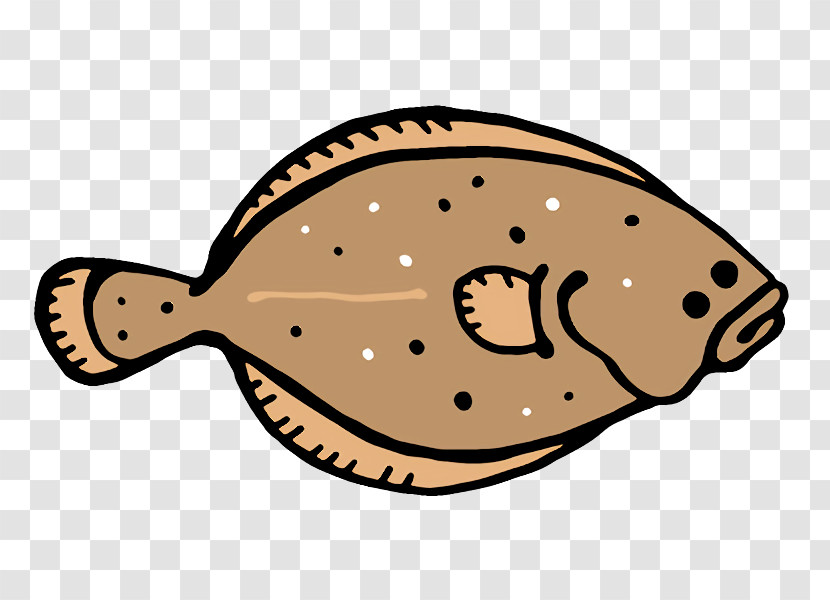 Fish Flatfish Line Science Biology Transparent PNG