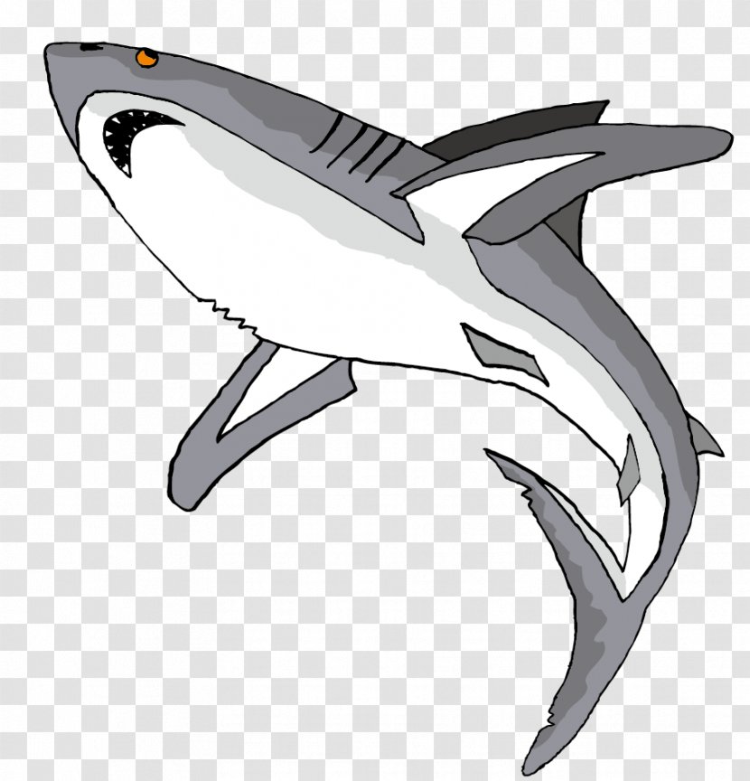 Shark Fish Drawing Clip Art - Great White - Vector Whales Material Transparent PNG