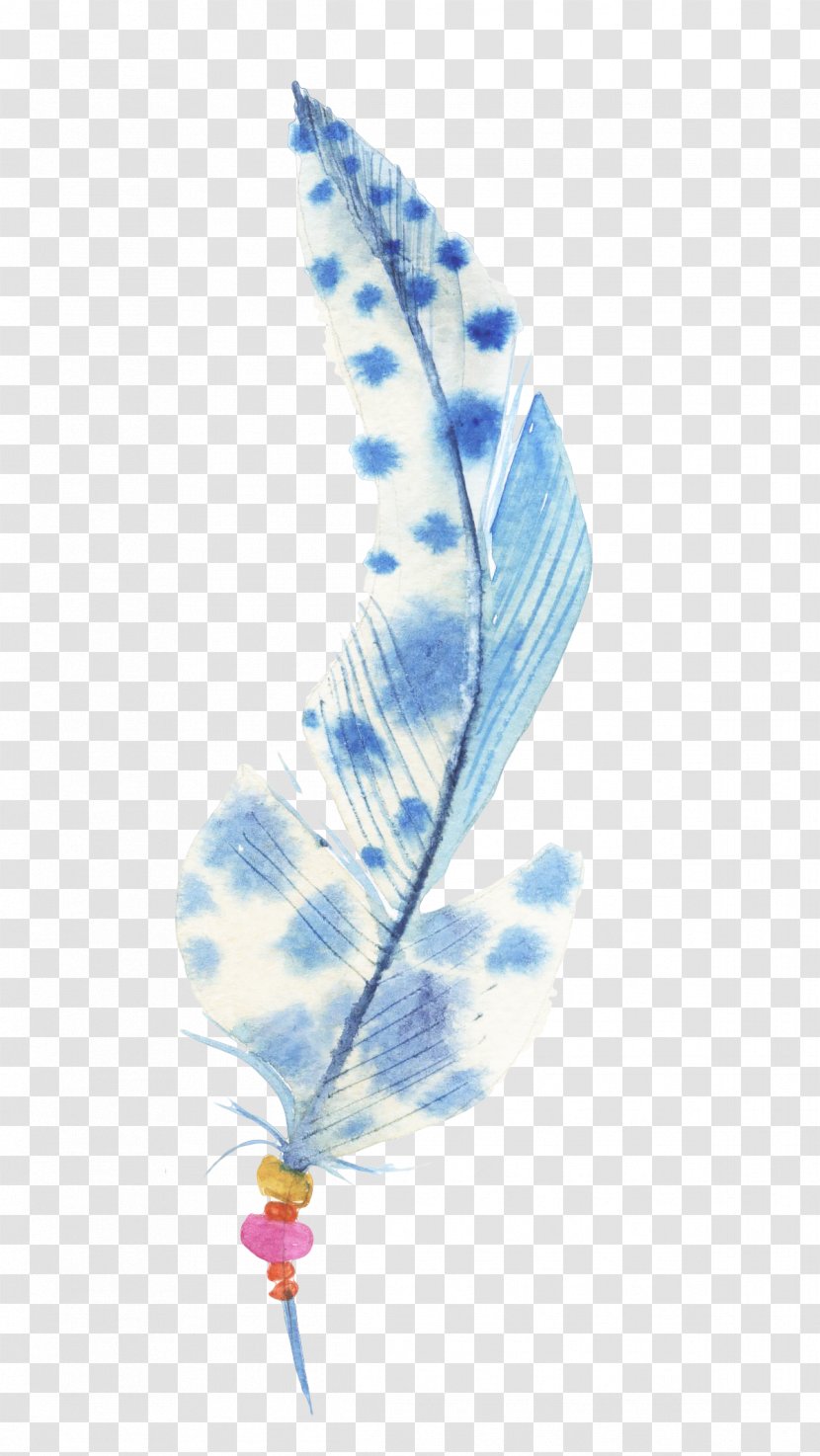Feather - Vertebrate - Hand-painted Feathers Transparent PNG