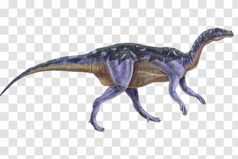 Camptosaurus Ornithopod Stegosaurus Coelurus Genasauria - Dinosaur Transparent PNG