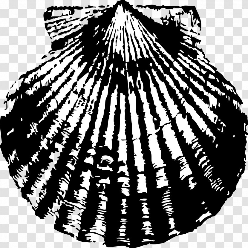 Pectinidae Seashell Clip Art - Black And White Transparent PNG
