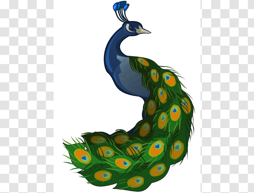 T-shirt Peafowl Cartoon Clip Art - Bird - Peacock Cliparts Transparent PNG
