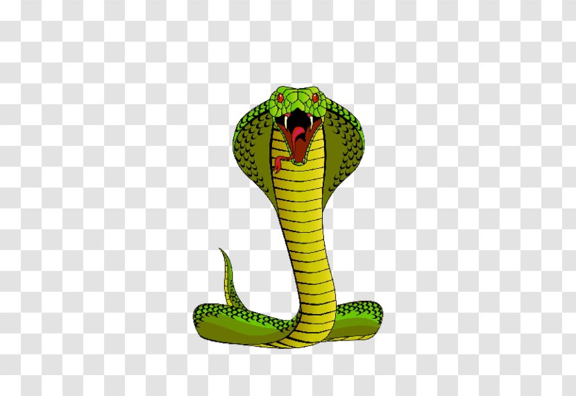 Background Green - Cape Cobra - Smooth Greensnake Western Mamba Transparent PNG