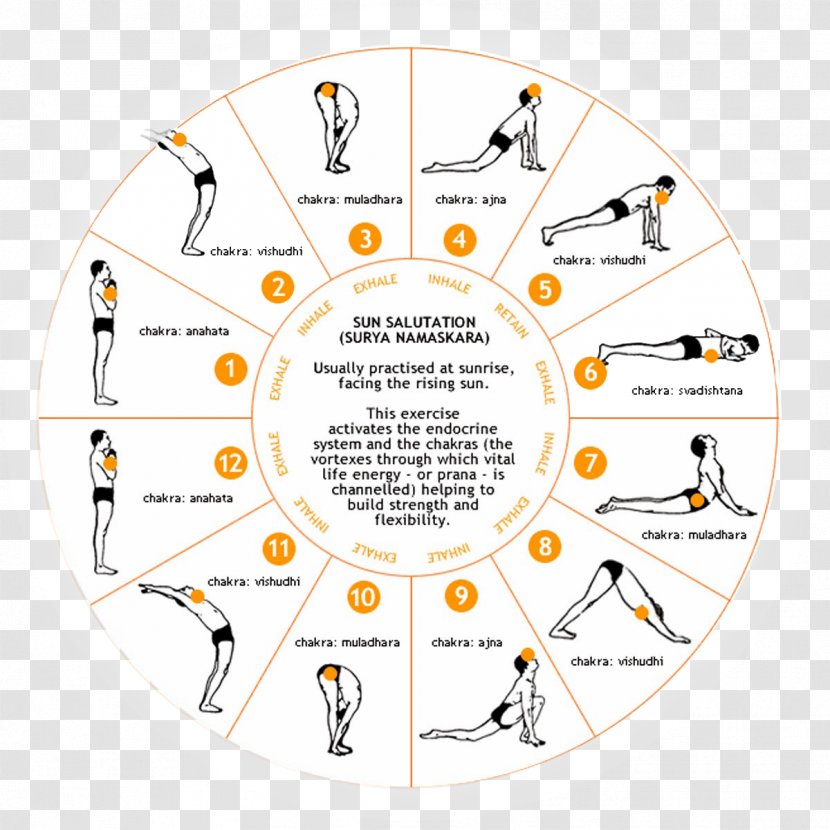 Surya Namaskara Namaste Yoga Exercise - Health Transparent PNG