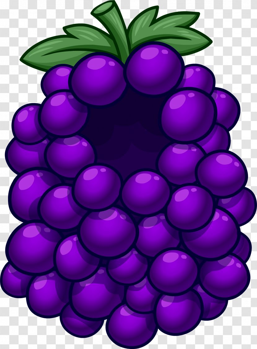 Grape Club Penguin Fruit Costume Purple - Suit - Grapes Transparent PNG