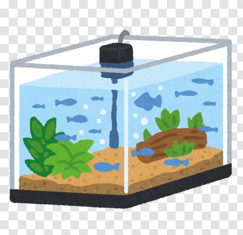 Goldfish Aquariums 飼育 Japanese Rice Fish Common Water Fleas - Tank Transparent PNG