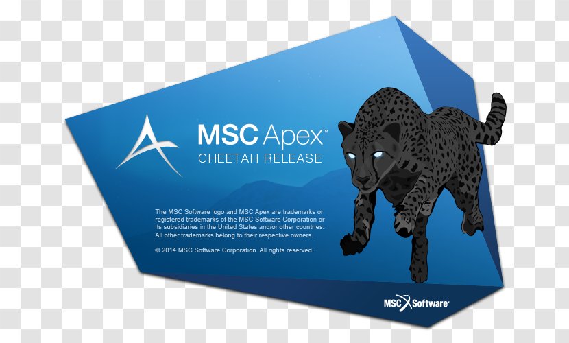 Gray Wolf Apex Predator Cheetah Graphics Cards & Video Adapters MSC Software - Nvidia Quadro Transparent PNG