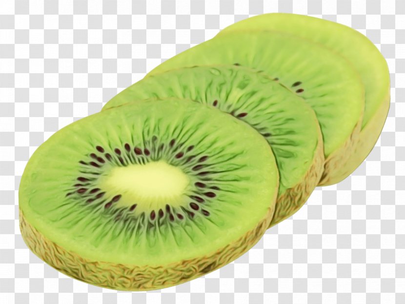 Kiwi Bird - Slice - Flightless Plant Transparent PNG