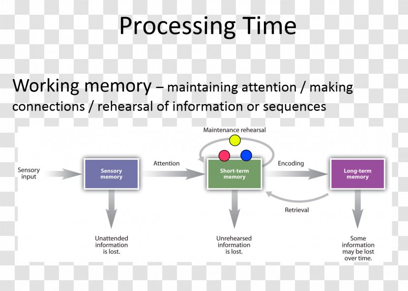 Learning Eidetic Memory Diagram Atkinson–Shiffrin Model - Communication - Paper Transparent PNG