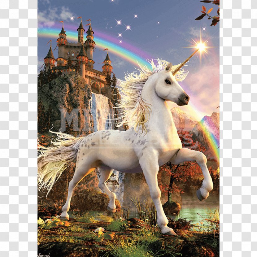 Unicorn Legendary Creature Pegasus Horse Mythology - Like Mammal - Birthday Transparent PNG