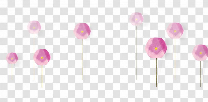Petal Pink - Flowering Plant - Dandelion Transparent PNG