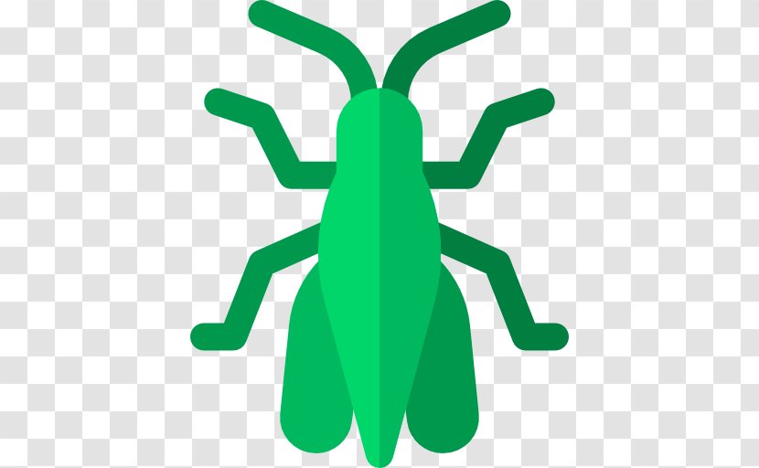 Grasshoppers Icon - Animal - Green Transparent PNG