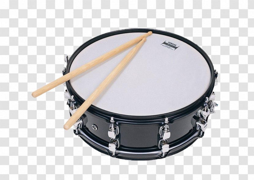 Drum Stick Drums Snare Percussion - Tree Transparent PNG