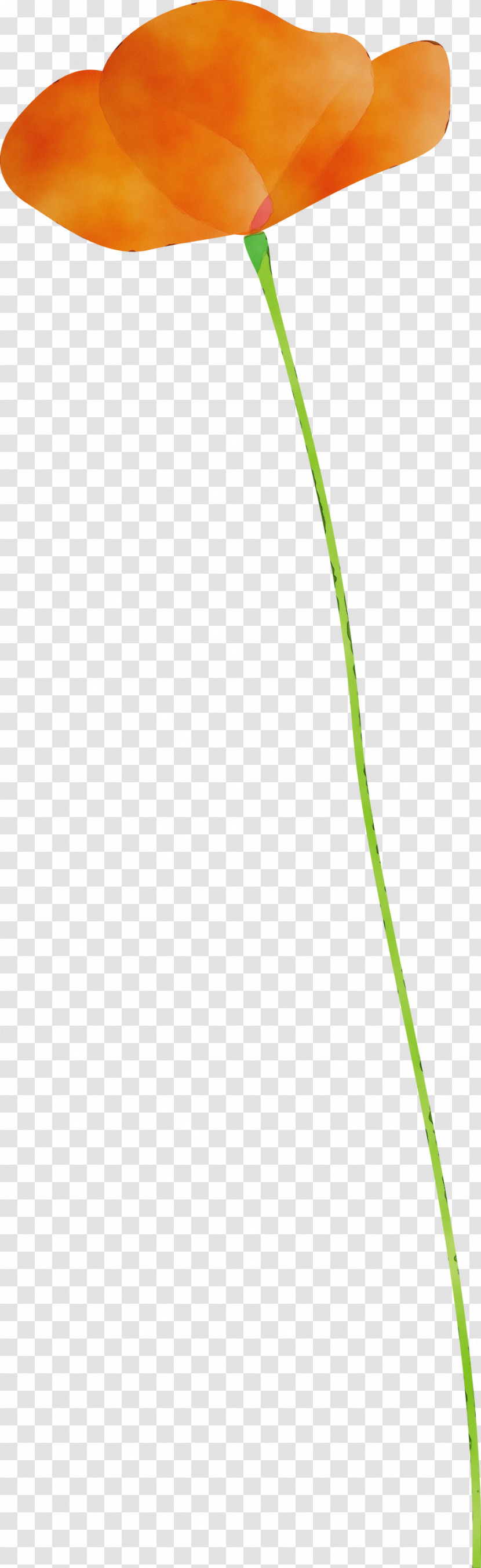 Green Leaf Grass Family Grass Plant Transparent PNG