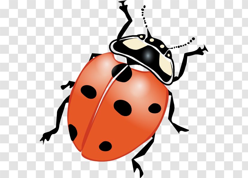 Ladybird Drawing Clip Art - Invertebrate - Ladybug Flying Cliparts Transparent PNG