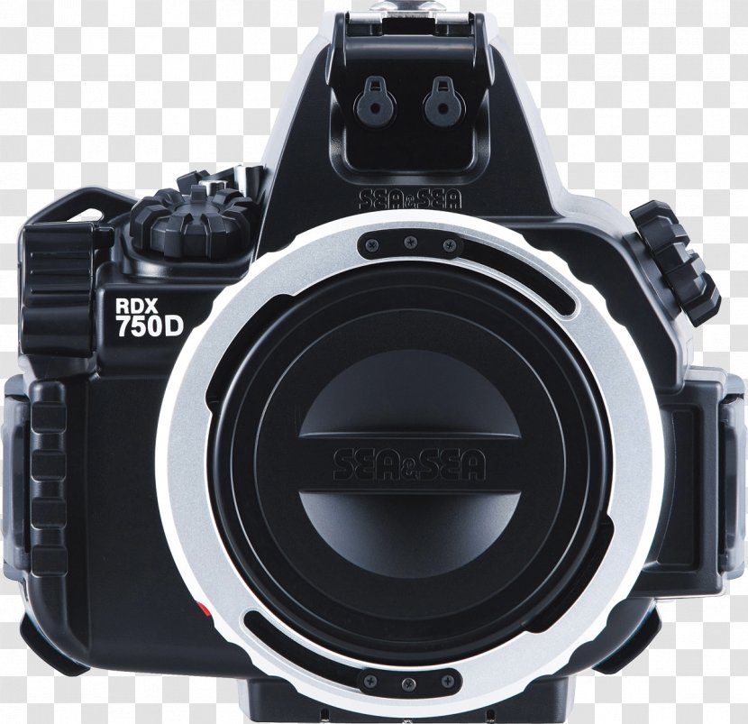 Canon EOS 750D 800D Digital SLR Underwater Photography - Sea Transparent PNG