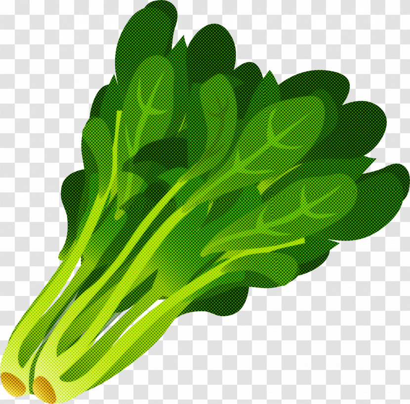 Green Vegetable Leaf Vegetable Leaf Plant Transparent PNG