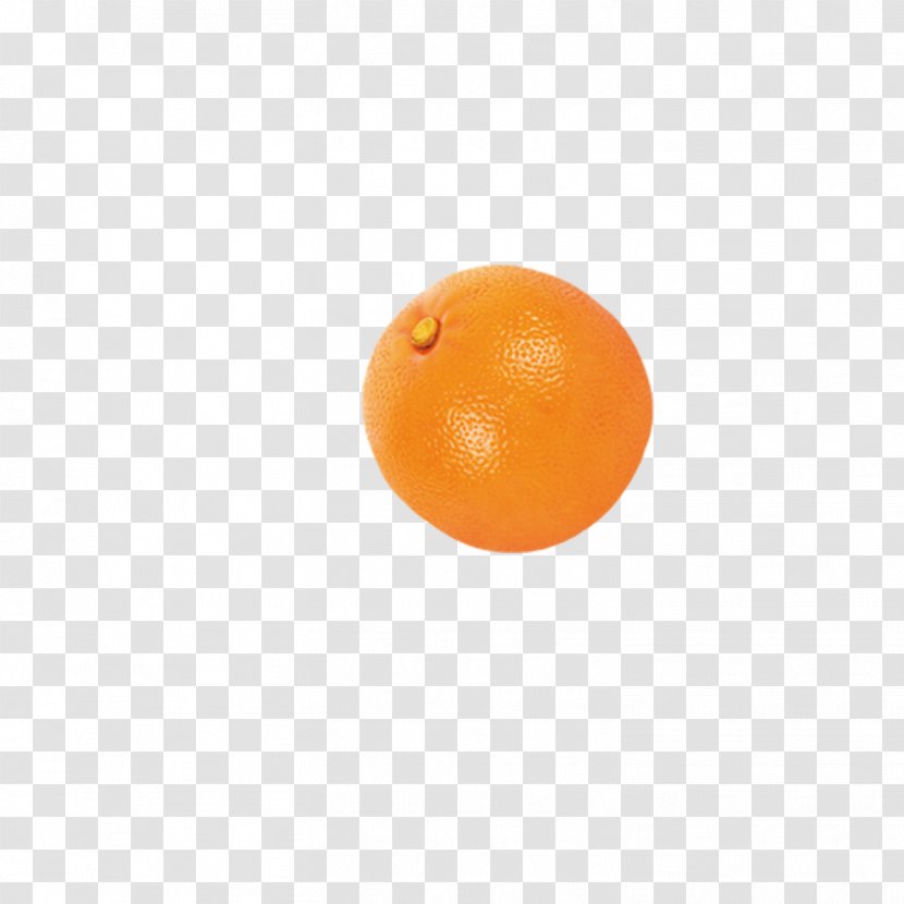 Clementine - Citrus - Orange Pattern Transparent PNG