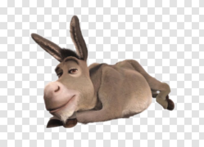 Donkey Princess Fiona Shrek The Musical Film Series Transparent PNG