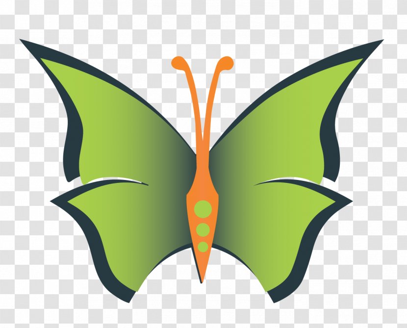 Butterfly Character Symmetry Clip Art - Pollinator Transparent PNG