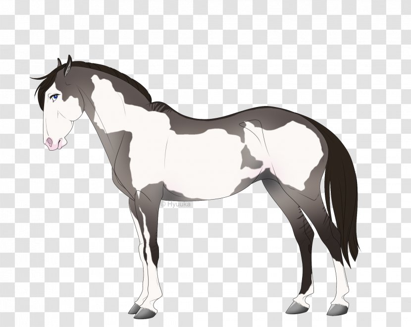 Foal Stallion Mane Mare Mustang - Pony Transparent PNG
