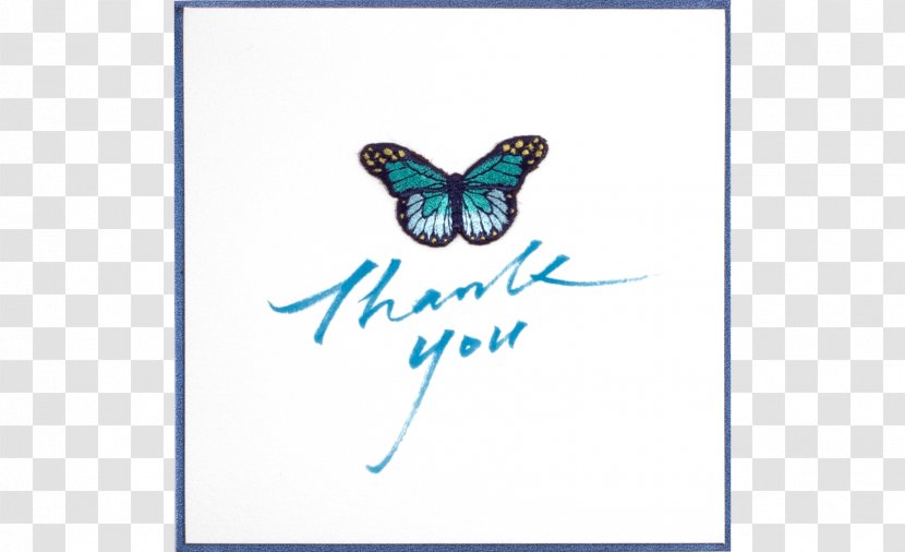 Insect Turquoise Font - Butterfly Transparent PNG