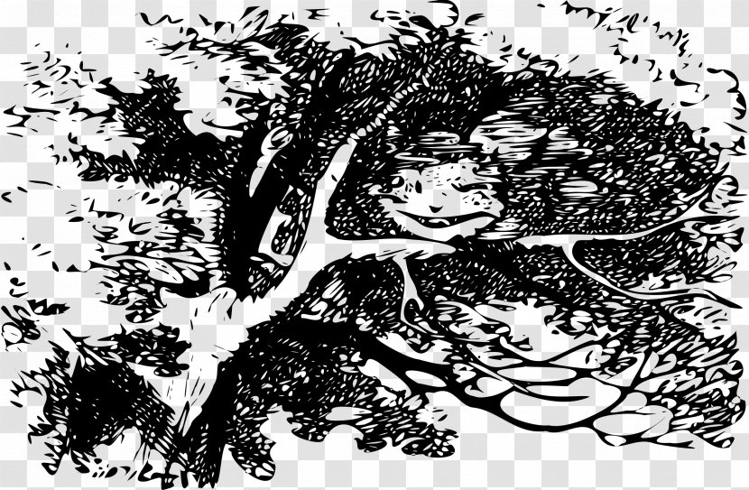 Alice's Adventures In Wonderland Cheshire Cat March Hare Aliciae Per Speculum Transitus - Visual Arts - Book Transparent PNG