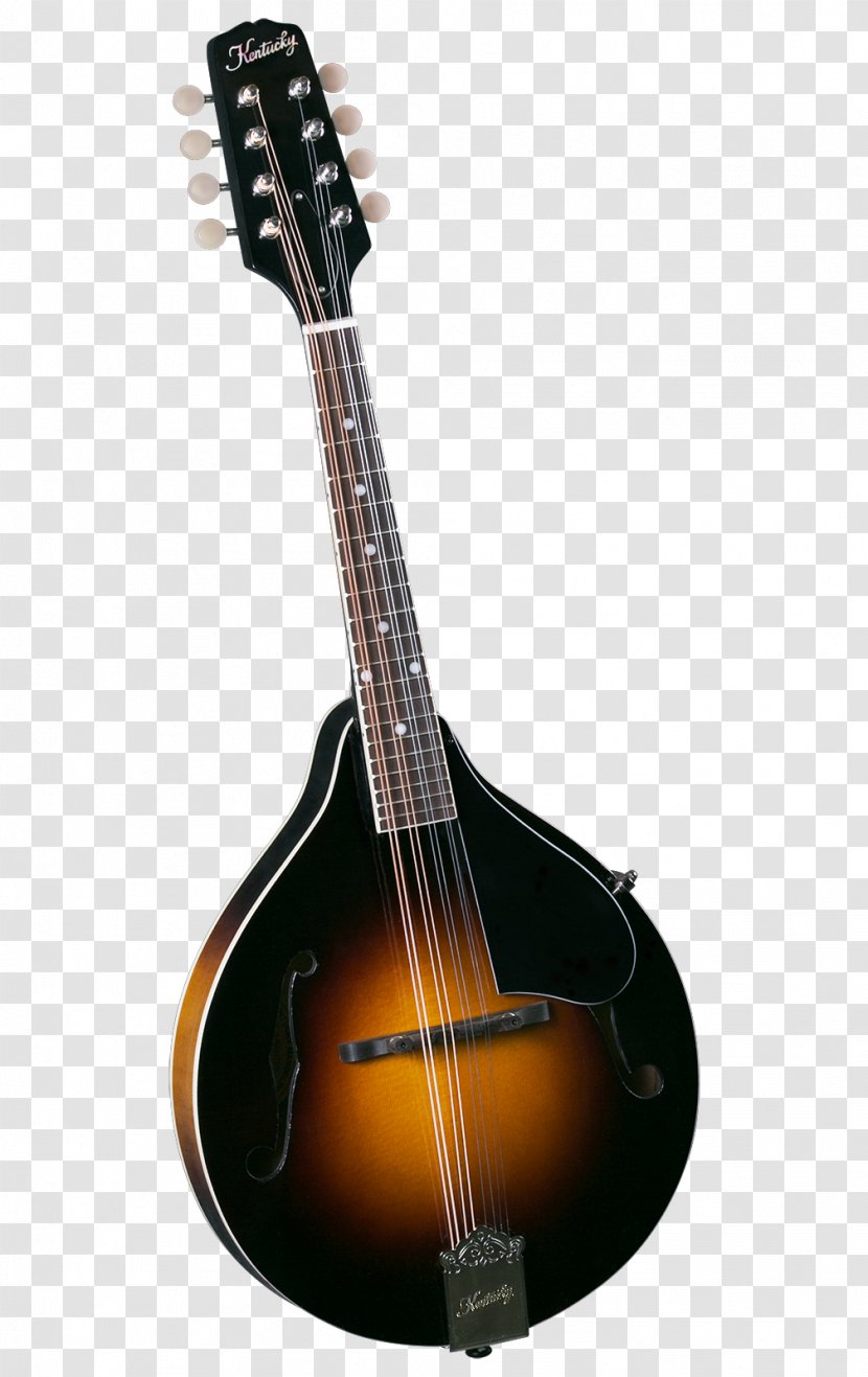 Mandolin Musical Instruments Sound Hole Musician Bluegrass - Frame Transparent PNG