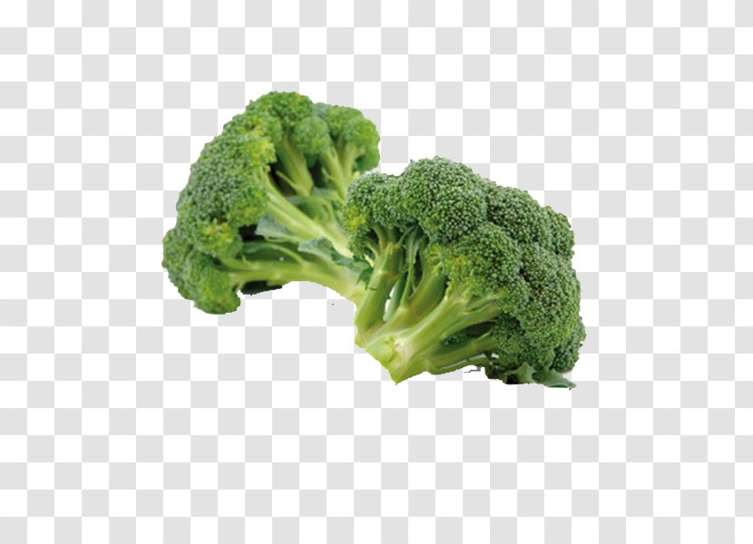 Organic Food Cream Of Broccoli Soup Cruciferous Vegetables - Leaf Vegetable Transparent PNG