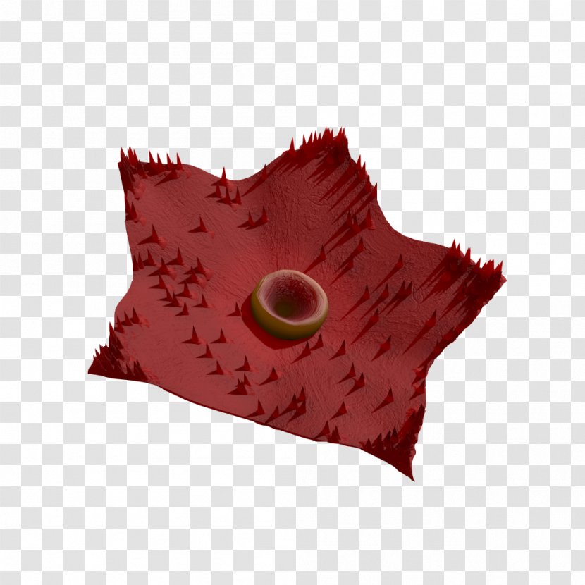 Blood - Flower Transparent PNG