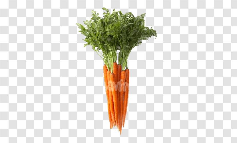 Vegetable Fruit Carrot Food Bento Transparent PNG