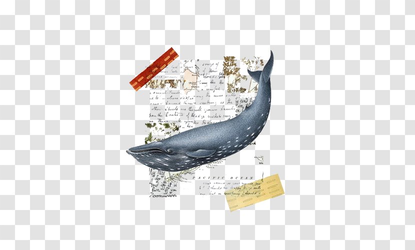 Collage Whale Art Poster - Brand - Black Transparent PNG